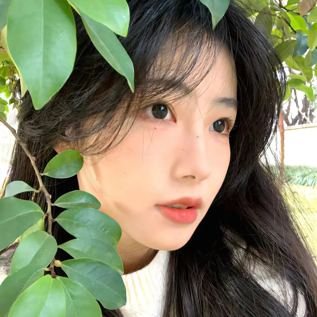 动漫奇幻